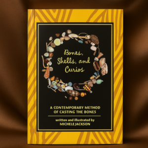 bones shells and curios book